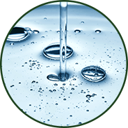 Cellular hydration and osmotic balance - GenuinePurity