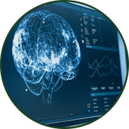 Cognitive biochemical pathways - GenuinePurity