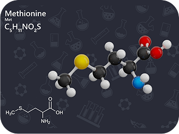 Homocysteine Metabolism - GenuinePurity Liposomal TMG