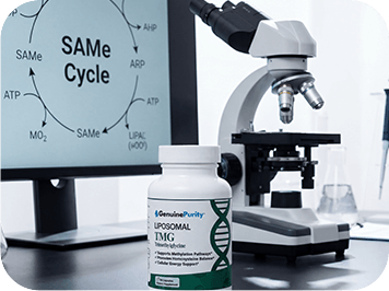 SAMe & Methionine Cycle Support - GenuinePurity Liposomal TMG