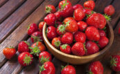 Senolytic Support: How Fisetin Helps Clear Aging Cells & Why It Matters