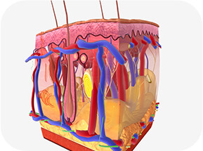 GenuinePurity Liposomal Vitamin C