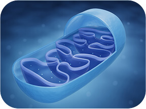 GenuinePurity Liposomal Vitamin C